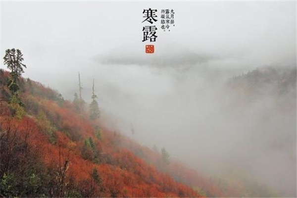 寒露是什么節(jié)氣 寒露會下霜嗎