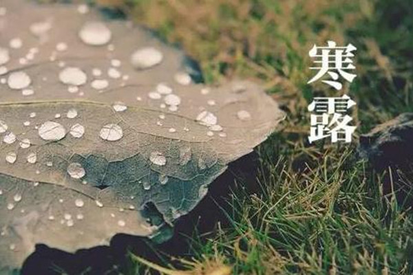 寒露是第幾個節(jié)氣 寒露是不是天氣就冷了