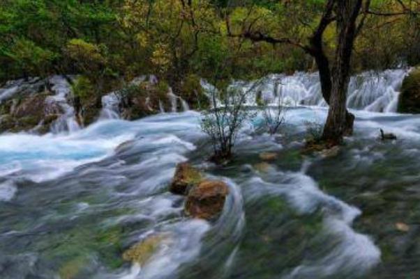 跟團旅游和自由行哪個好 跟團旅游可以中途自己走嗎