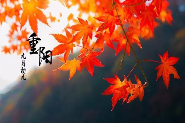 重陽節(jié)為什么要吃重陽糕 重陽節(jié)吃重陽糕有什么寓意