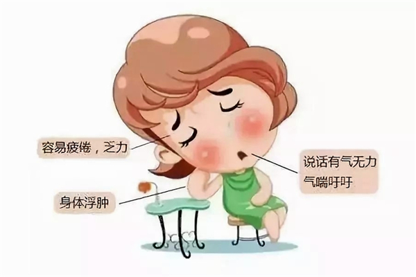 氣血不足會導(dǎo)致脫發(fā)嗎 氣血不足對身體造成哪些影響