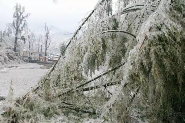 下雪要打傘嗎 下雪要做什么準(zhǔn)備