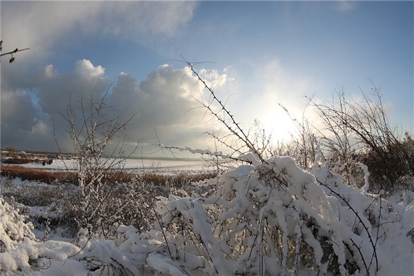 暴雪等級如何劃分 暴雪會造成什么影響