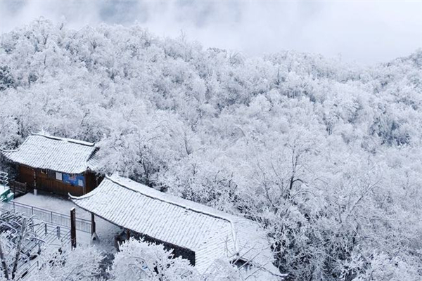 強寒潮是什么意思 強寒潮是在打臉全球變暖嗎