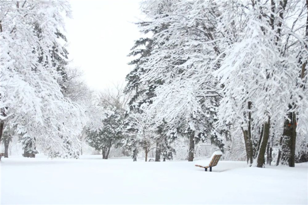 降雪的必要條件 降雪量的等級標(biāo)準(zhǔn)