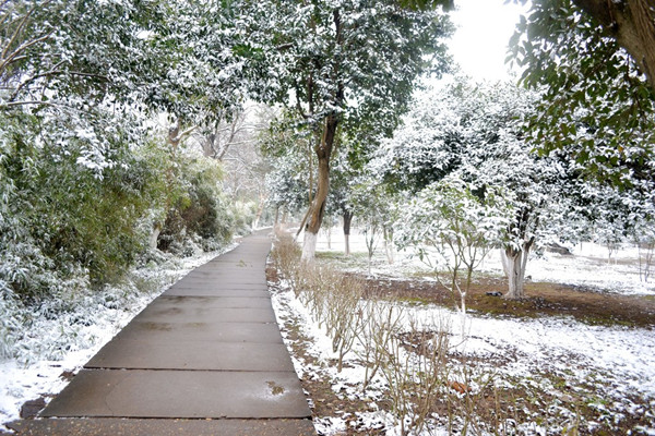 小雪節(jié)氣會下雪嗎 小雪節(jié)氣的含義是什么