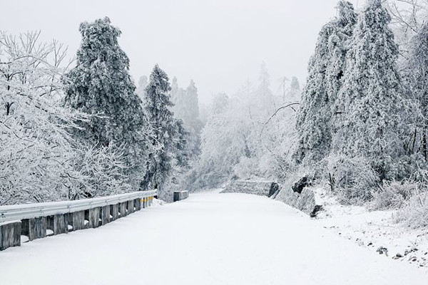 大雪節(jié)氣要吃什么 大雪節(jié)氣要做什么事情