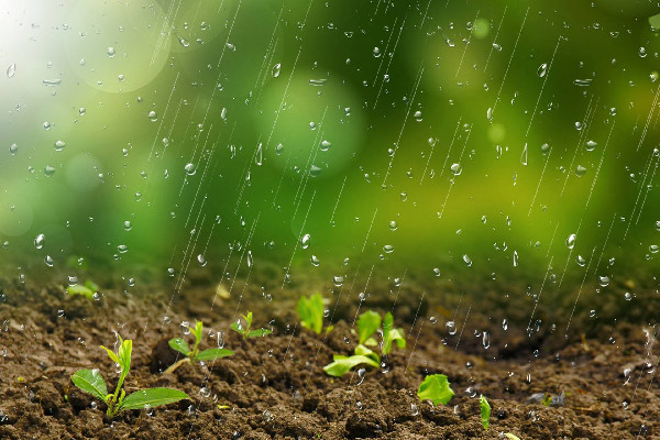 雨水節(jié)氣一定會(huì)下雨嗎 雨水節(jié)氣有什么說(shuō)法