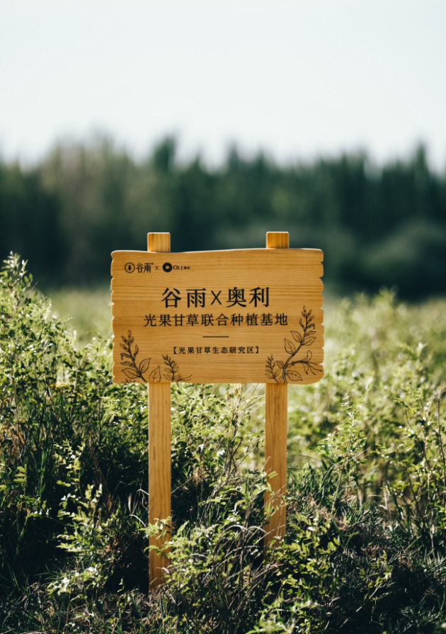 谷雨護(hù)膚品|最懂中國(guó)文化的護(hù)膚品牌