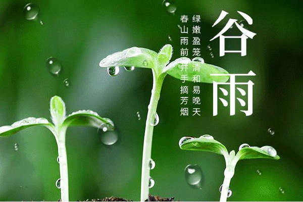 谷雨節(jié)氣的特點(diǎn)和風(fēng)俗 谷雨節(jié)氣是幾月幾號(hào)