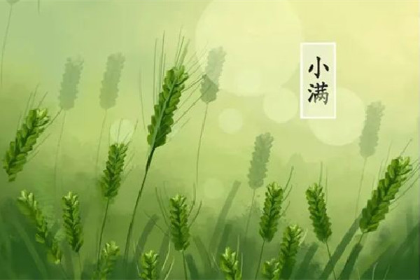 小滿可以剪頭發(fā)嗎 小滿理發(fā)好嗎