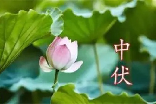 中伏會(huì)犯困嗎 中伏要怎么養(yǎng)生