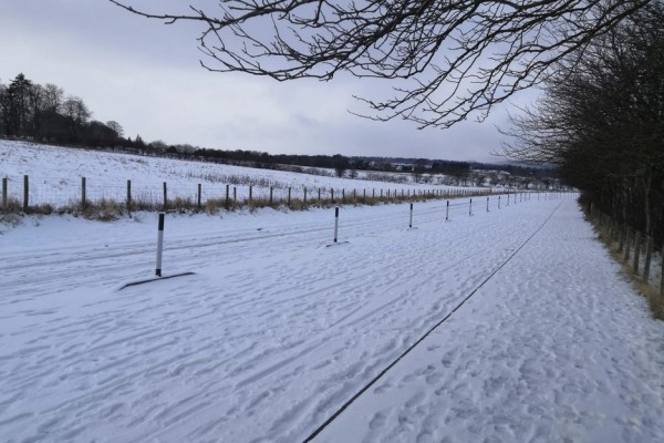 男子醒來發(fā)現(xiàn)被幾米高雪困在宿舍 下雪有什么好的寓意