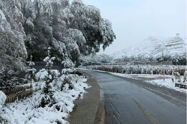 2023年來最強雨雪上線 雨雪天氣是什么造成的