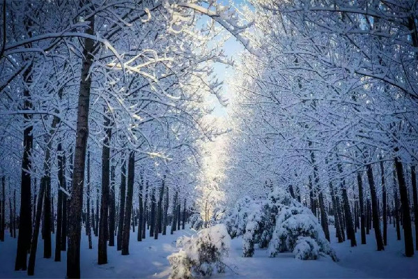 今年以來最大范圍雨雪來襲 雨雪天氣會影響飛機起飛嗎