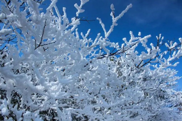 今年以來最大范圍雨雪來襲 雨雪天氣會影響飛機起飛嗎